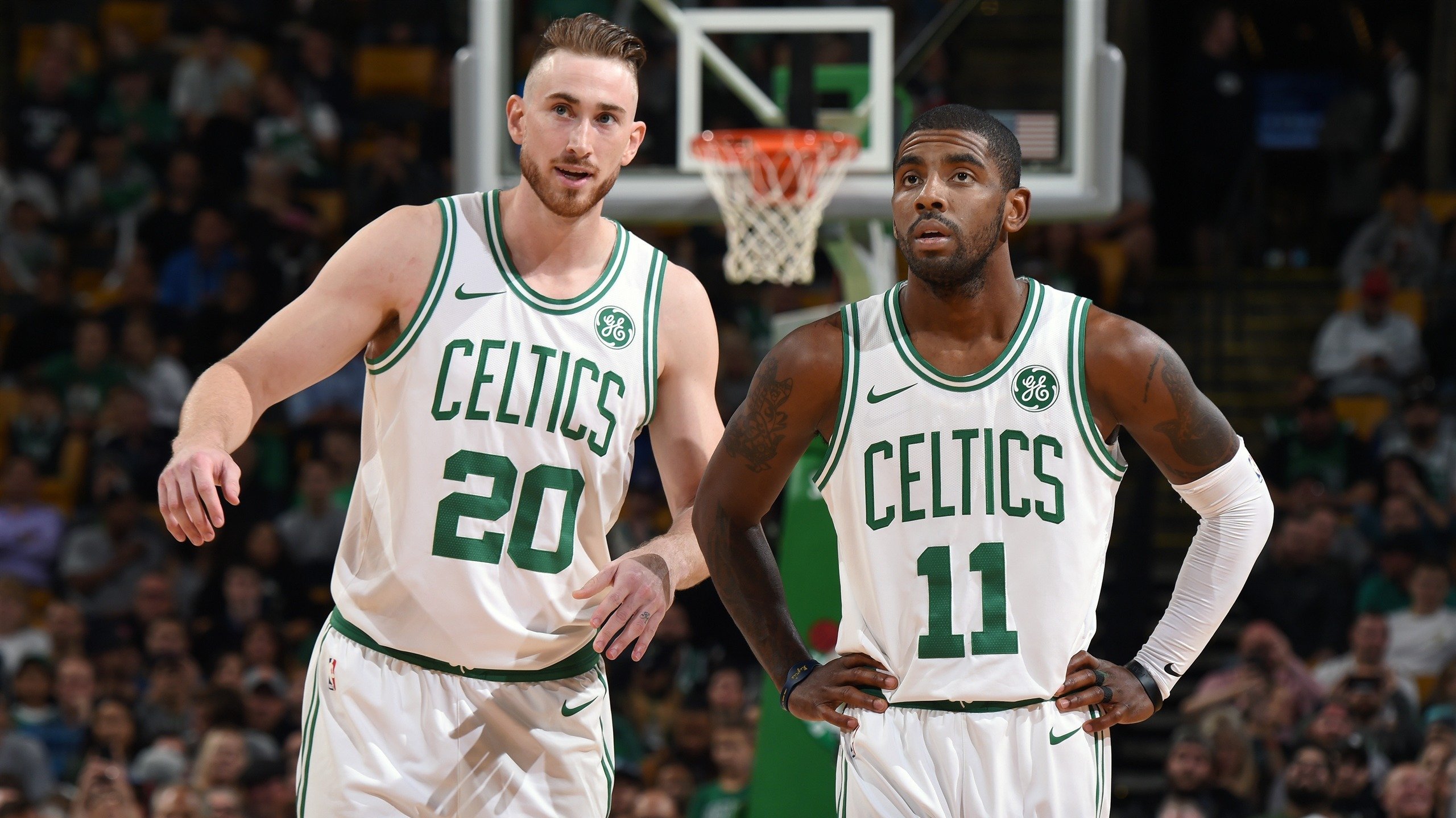蓝白防线再洗牌,阿根廷的世界杯拼图与未解的隐忧